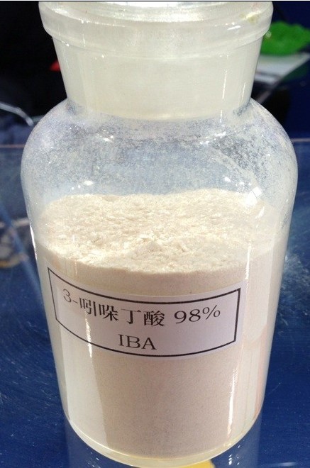 98% 3-吲哚丁酸（IBA）原药