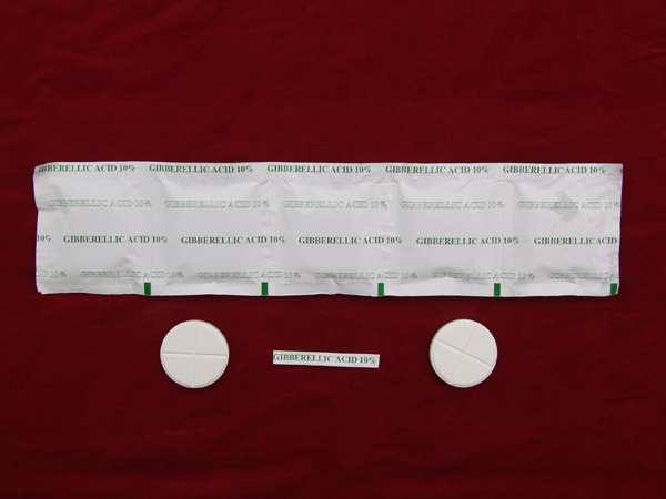 Gibberellic Acid 10% Tablet