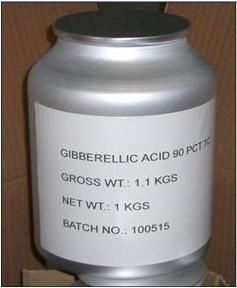 1Kg Tin
