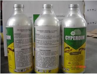 1L Aluminum bottle